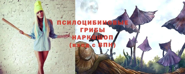 ECSTASY Аркадак